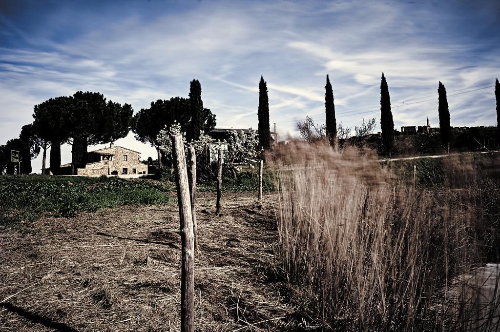 Agriturismo Il Casalino Pienza Exterior foto