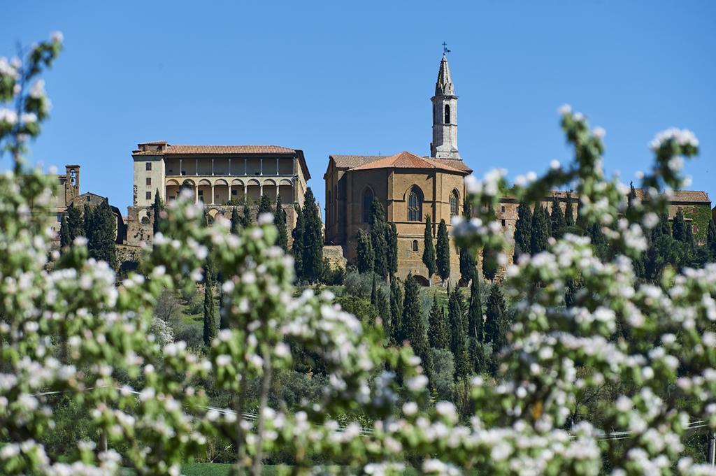 Agriturismo Il Casalino Pienza Exterior foto
