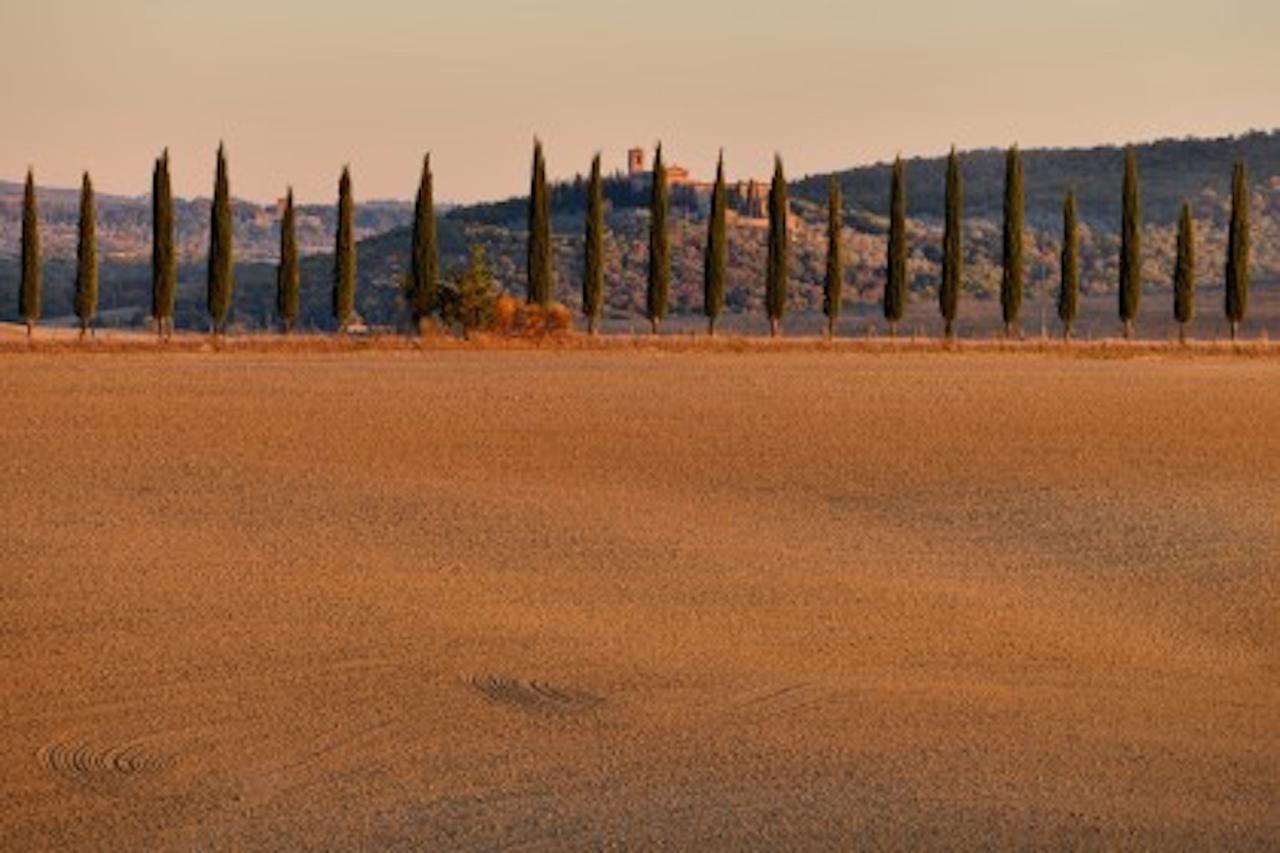 Agriturismo Il Casalino Pienza Exterior foto